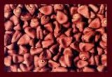 ANNATTO FOR SALE