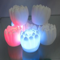 Lotus Colorful Light:AP-015