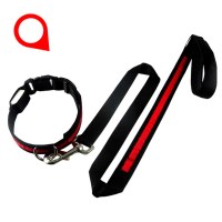 LED Dog Collar & Leash sets:AR-001