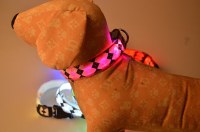 LED Nylon Dog Collar:AR-010