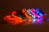 LED Nylon Dog Collar:AR-011