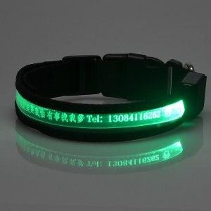 LED Carved Lettering Dog Collar:AR-017