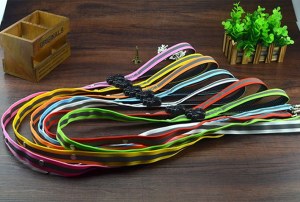 LED Reflect Light Dog Leash:AR-026