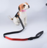 LED Nylon Dog Leash:AR-027