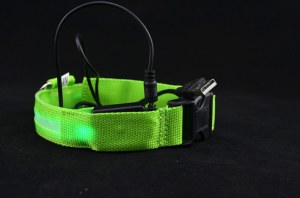 Rechargeable LED Dog Collar