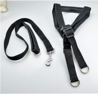 LED Dog Collar & Leash sets:AR-042