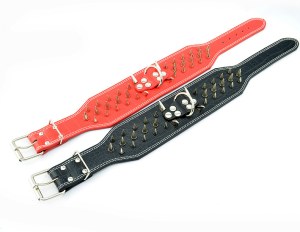 Dog Collar:AR-044