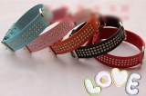 Dog Collar:AR-045