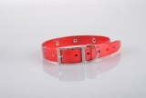 Dog Collar:AR-046