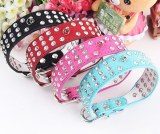 Dog Collar:AR-048