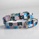 Dog Collar:AR-053