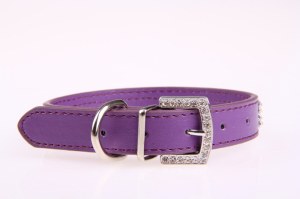Dog Collar:AR-054