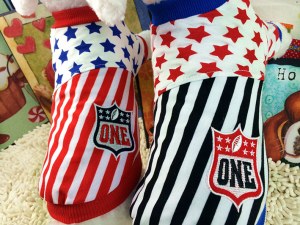 Pet Star Captain Clothes:AR-082