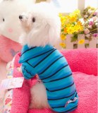 Pocky Polo Dog Clothes:AR-084