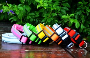 LED Reflect Light Dog Colla:AR-233