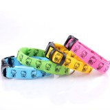 LED Nylon Dog Collar:AR-234