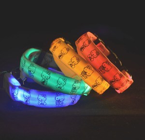 LED Nylon Dog Collar