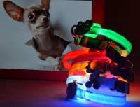 LED Nylon Cartoon Dog Collar:AR-238