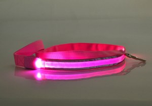 LED Reflect Light Dog Leash:AR-244
