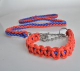 LED Dog Collar & Leash sets:AR-268