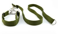LED Dog Collar & Leash sets:AR-269