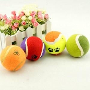 Tennis Resistant Bites Dog Toys