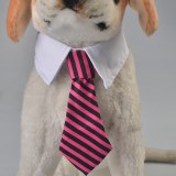 Gentleman Look Pet Tie:AR-381