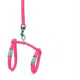 LED Dog Collar & Leash sets