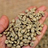Café Robusta / Grains de café vert Arabica à vendre