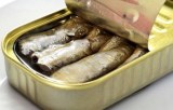 SARDINES CONSERVES MAROC
