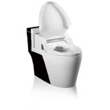 Automatic Toilet (HT586SZ-B)