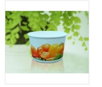 260ml PLA Paper Bowls