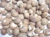 Best Quality whole and Split Betel Nuts