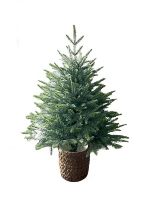 Christmas crafts manufacturer