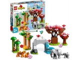 LEGO duplo - Animaux sauvages d’Asie (10974)