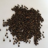 Black Pepper