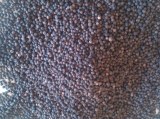 Brazilian Black Pepper