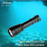 Brinyte magnetic switch led dive light