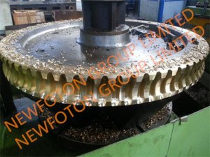Bronze worm gear