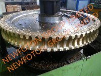 Bronze worm gear