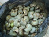Vente de noix de cajou