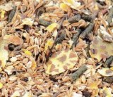 Aliment Energétique Course Dromadaires