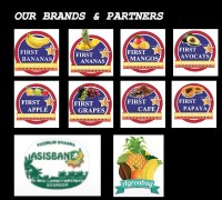 Premium Banana Cavendish and other fruits From Ecuador