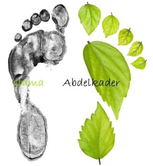 Nous recherchons bioéthanol fuel pour un approvisionnement à long terme.