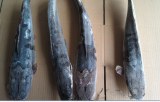 Frozen Catfish Whole Round