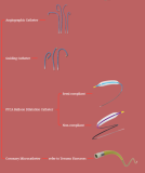 Interventional Cardiology Products