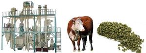 Superior Quality Cattle Feed Pellet Plant