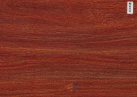 WPC transfer foil,Wood grain transfer foil,floor transfer foil