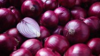 Production et vente IMPORT ET EXPORT des onions