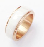 Ceramic and stainless steel ring